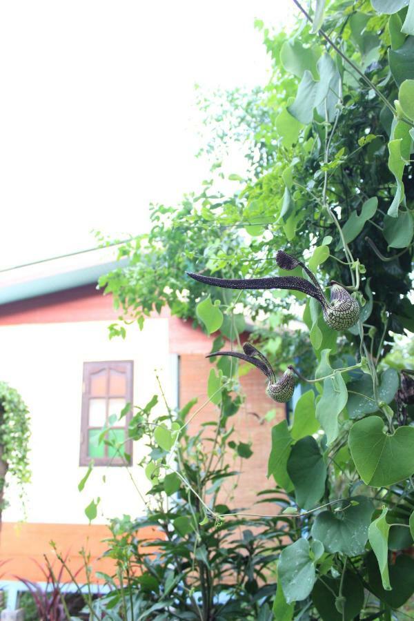 Pai Modern House Hotel Kültér fotó